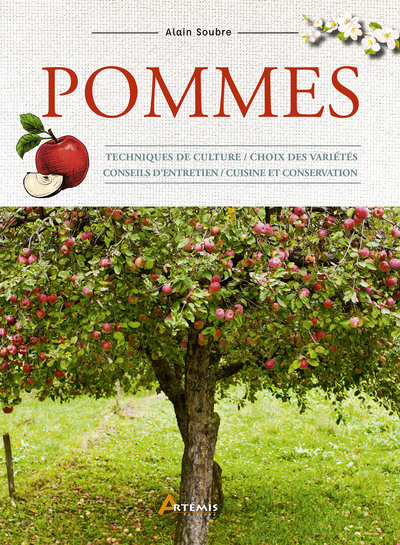 Image de Pommes