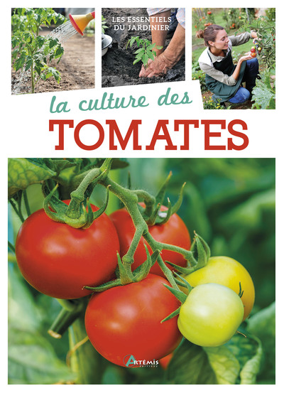 Image de La culture des tomates