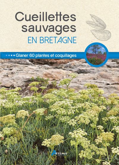 Image de Cueillettes sauvages en Bretagne
