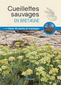 Image de Cueillettes sauvages en Bretagne