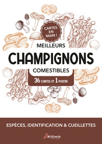 Picture of Meilleurs champignons comestibles