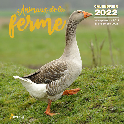 Picture of Calendrier Animaux de la ferme 2022