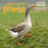 Picture of Calendrier Animaux de la ferme 2022