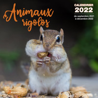 Picture of Calendrier Animaux rigolos 2022