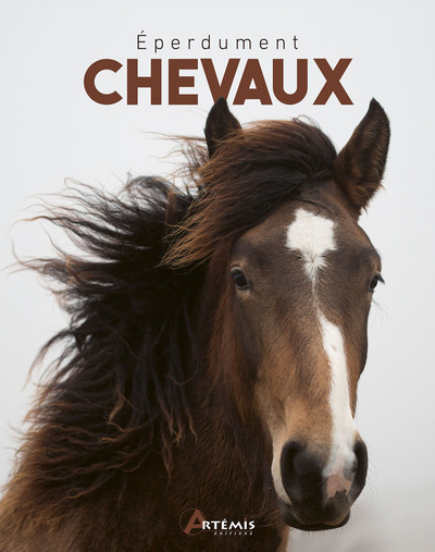 Picture of Eperdument chevaux