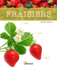 Image de Fraisiers