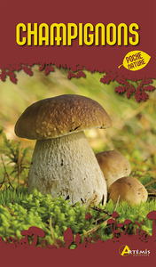 Image de Champignons