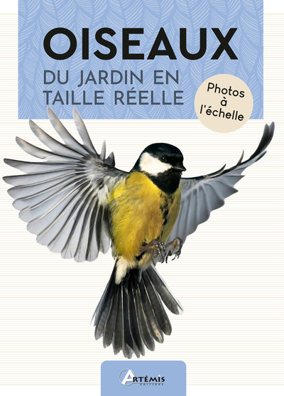 Picture of Oiseaux du jardin en taille réelle
