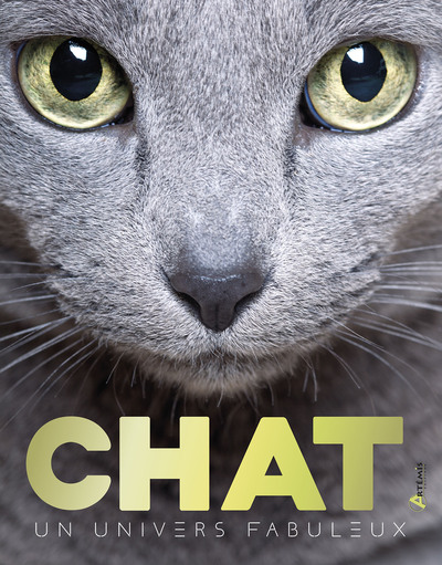 Image de Chat, un univers fabuleux