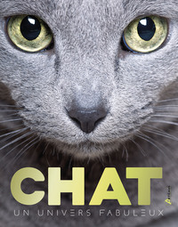 Image de Chat, un univers fabuleux