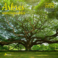 Picture of Calendrier Arbres remarquables 2025