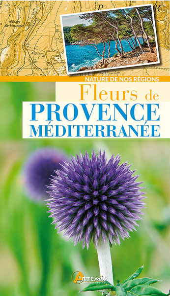 Image de Fleurs de Provence-Méditerranée