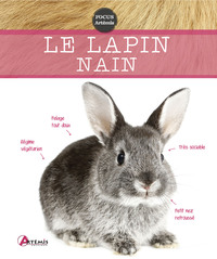 Image de Lapin nain