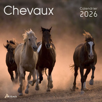Picture of Calendrier chevaux 2026
