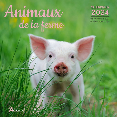 Picture of Calendrier Animaux de la ferme 2024