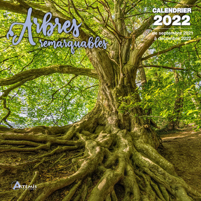 Picture of Calendrier Arbres remarquables 2022