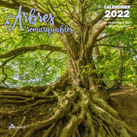 Picture of Calendrier Arbres remarquables 2022
