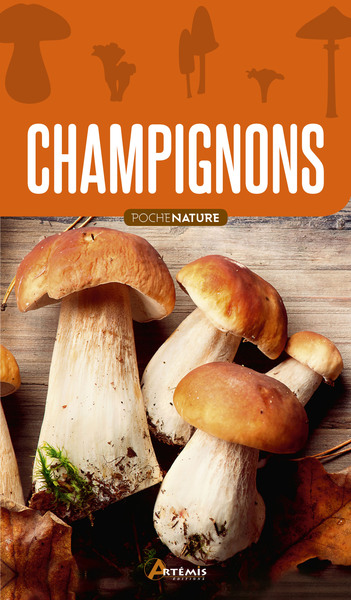 Image de Champignons