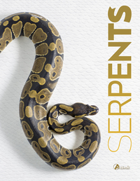 Image de Serpents