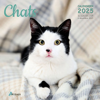 Picture of Calendrier Chats 2025