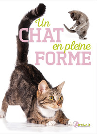 Image de Un chat en pleine forme
