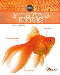 Picture of Poissons rouges