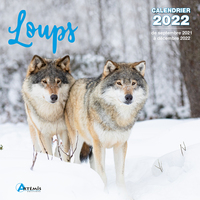 Picture of Calendrier Loups 2022