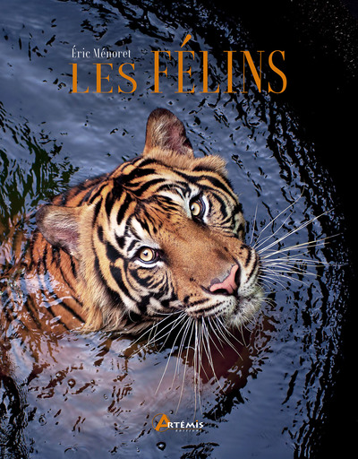 Picture of Les félins