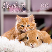 Picture of Calendrier Le chat et ses amis 2025