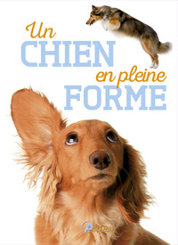 Image de Un chien en pleine forme