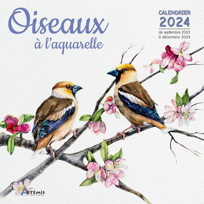 Picture of Calendrier Oiseaux à l'aquarelle 2024