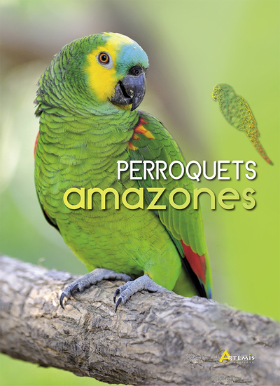 Image de Perroquets amazones