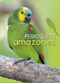 Image de Perroquets amazones