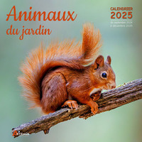 Picture of Calendrier Animaux du jardin 2025