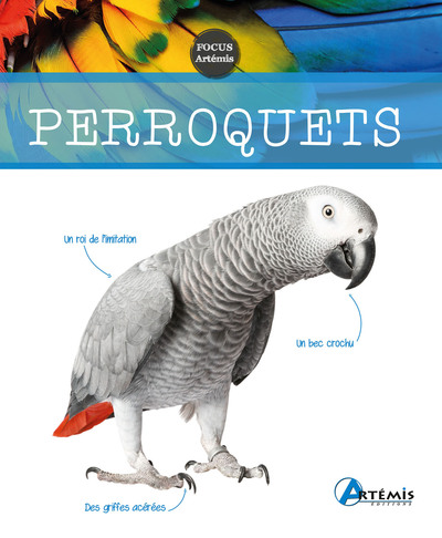 Picture of Perroquets