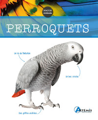 Picture of Perroquets