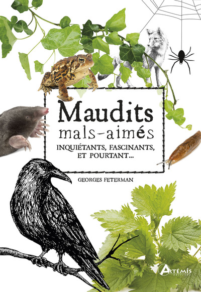 Image de Maudits mal-aimés
