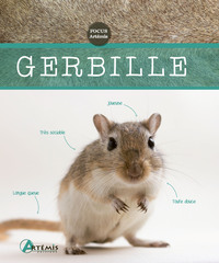Image de Gerbille