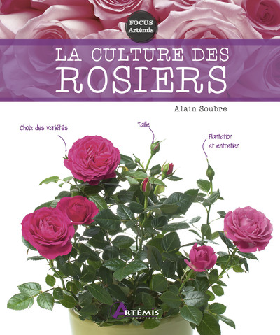Image de La culture des rosiers
