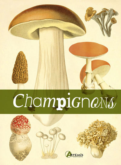 Image de Le livre des champignons