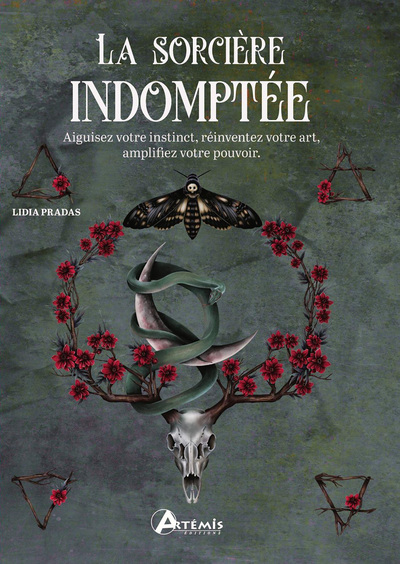 Image de La sorcière indomptée