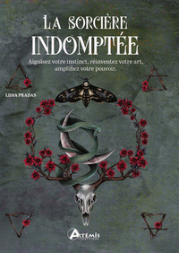 Image de La sorcière indomptée