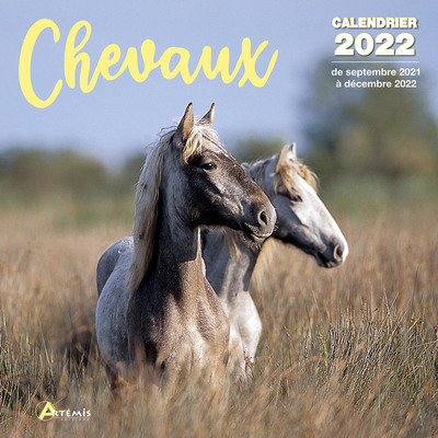 Picture of Calendrier Chevaux 2022