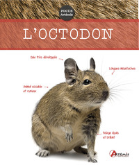 Image de Octodon