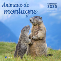 Picture of Calendrier animaux de montagne 2025