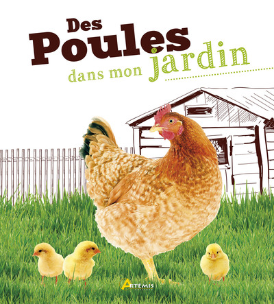 Image de Des poules dans mon jardin