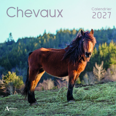 Picture of Calendrier chevaux 2027
