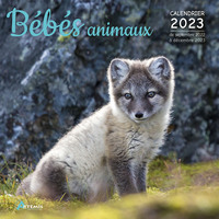 Image de Calendrier bébés animaux 2023