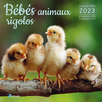 Image de Calendrier bébés animaux rigolos 2023