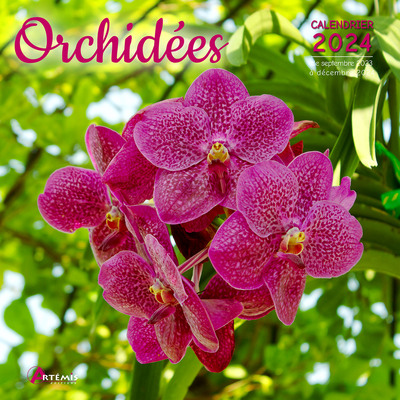 Picture of Calendrier Orchidées 2024